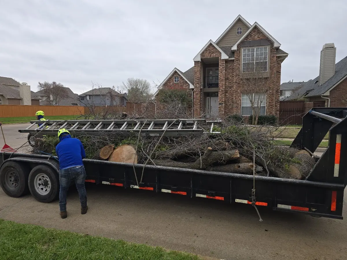 Expert Tree Fertilization with proper safety equipment in Lansdowne